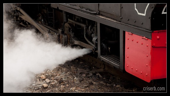 mocanita-de-la-viseu-07