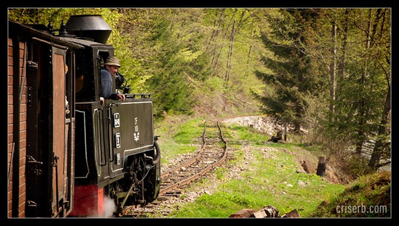 mocanita-de-la-viseu-10