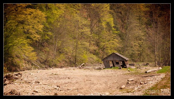 mocanita-de-la-viseu-17