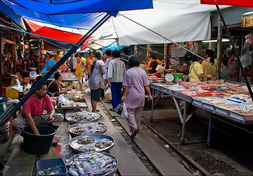 4618834107_499460acb0 4618834107_499460acb0