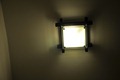 DSC_8319 DSC_8319