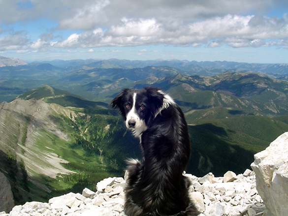 Summit of Crowsnest Mountain, Crowsnest Pass, Alberta