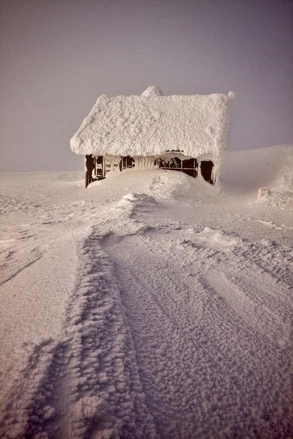 29_06_2009_0081590001246265415_piotr-krzaczkowski