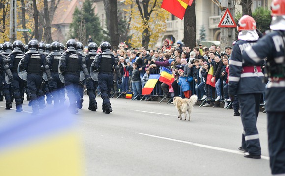1-decembrie-ziua-romaniei-bucuresti-11