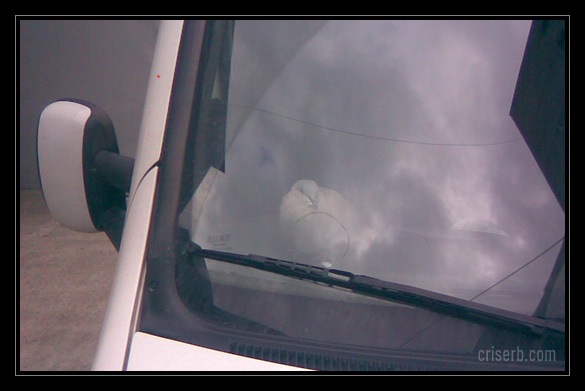 pasarica-din-dreapta1