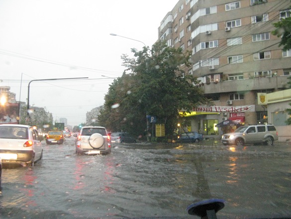 IMG_1924 IMG_1924