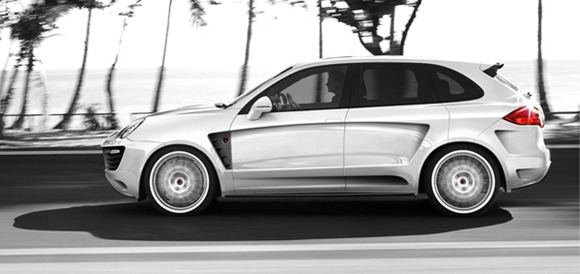 advantage_cayenne_II_side advantage_cayenne_II_side