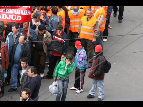 IMG_3916 IMG_3916