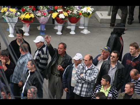 IMG_3919 IMG_3919