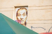 DSC_3770 DSC_3770