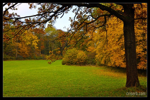 Nymphenburger_toamna_01 Nymphenburger_toamna_01