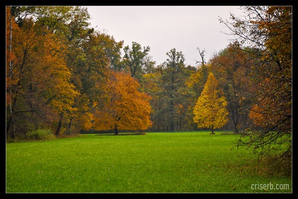 Nymphenburger_toamna_02 Nymphenburger_toamna_02