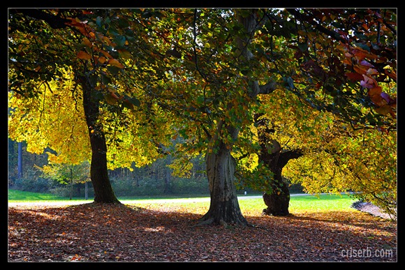 Nymphenburger_toamna_05 Nymphenburger_toamna_05