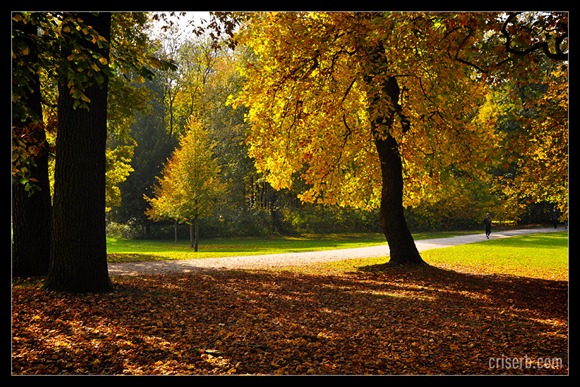 Nymphenburger_toamna_06 Nymphenburger_toamna_06