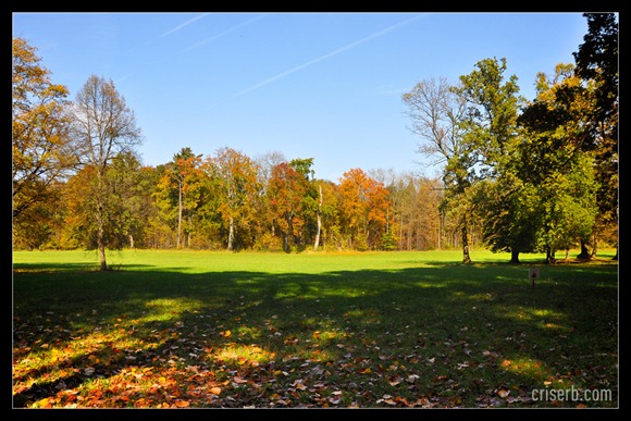 Nymphenburger_toamna_08 Nymphenburger_toamna_08