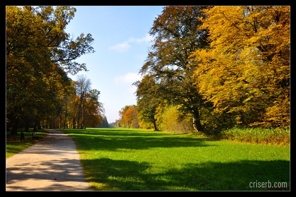 Nymphenburger_toamna_09 Nymphenburger_toamna_09