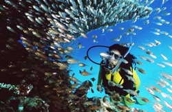 great-barrier-reef great-barrier-reef