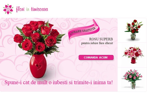 flori-in-timisoara flori-in-timisoara