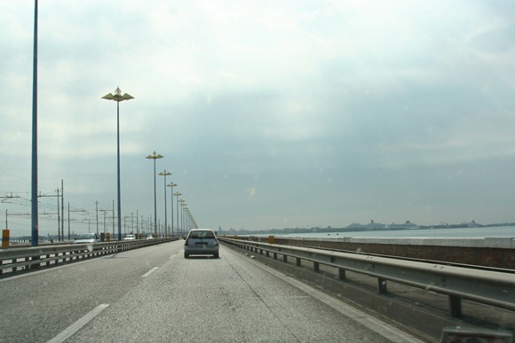 IMG 0195 IMG 0195
