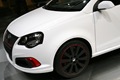 karmann-volkswagen-polo-gti-cabrio-2008-11