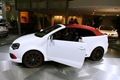 karmann-volkswagen-polo-gti-cabrio-2008-4