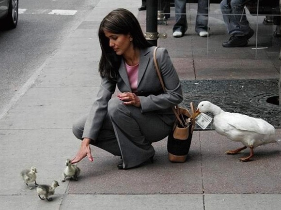 Duck, steal money from girl, operate as family gang Duck, steal money from girl, operate as family gang