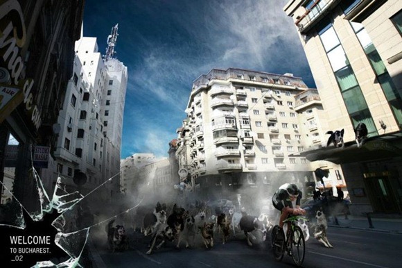 426516_168460296600040_148722121907191_254691_606837912_n