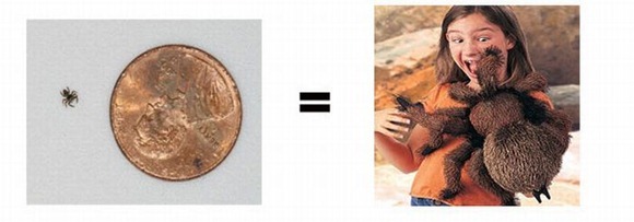 through_the_eyes_of_women_08