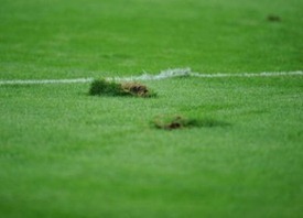 francezii-ne-desfiinteaza-national-a[2]