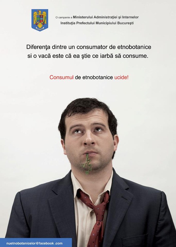 310550_278101992207807_270111429673530_1125565_1348233736_n