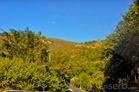 DSC_6185 DSC_6185