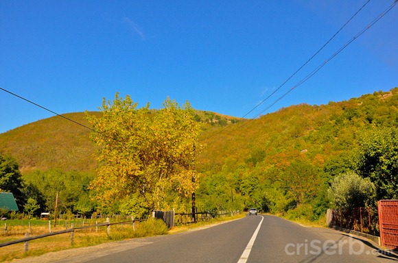 DSC_6187 DSC_6187