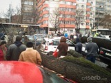 IMG_20130118_090949 IMG_20130118_090949