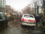 IMG_20130118_091016 IMG_20130118_091016