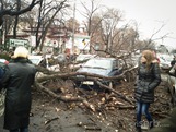 IMG_20130118_091050 IMG_20130118_091050