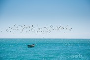DSC_2941 DSC_2941