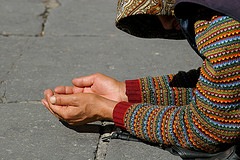 51296775_1b5854a963_m