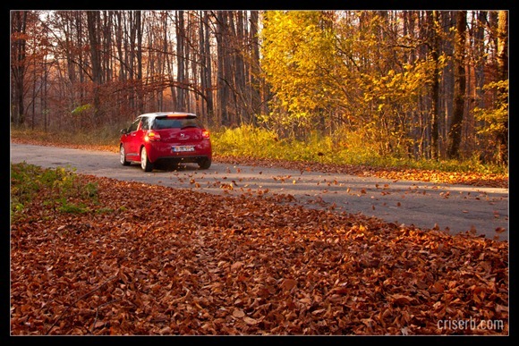 citroen_DS3_10 citroen_DS3_10