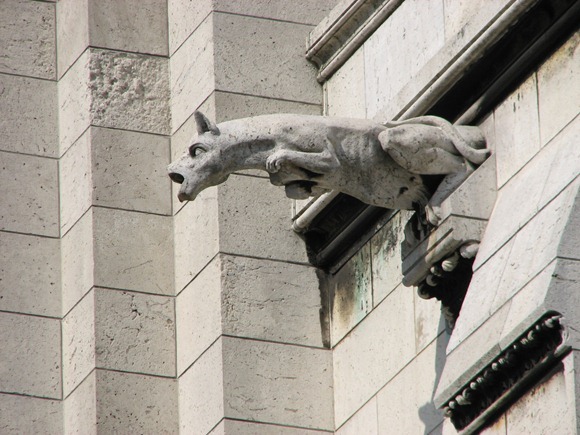 IMG_3565 IMG_3565