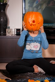 DSC_8275 DSC_8275
