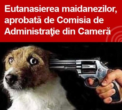 eutanasierea