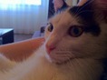 IMG_3458 IMG_3458