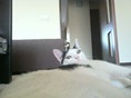 IMG_3467 IMG_3467