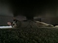 IMG_3468 IMG_3468
