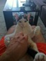 IMG_3474 IMG_3474