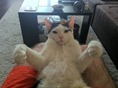 IMG_3476 IMG_3476