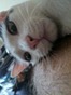 IMG_3480 IMG_3480