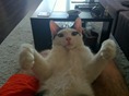 IMG_3482 IMG_3482