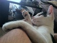 IMG_3483 IMG_3483