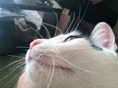 IMG_3484 IMG_3484